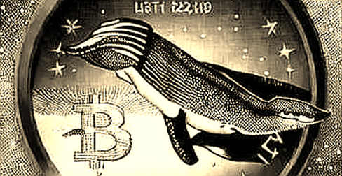 The 1.17 Billion Pound Virtue Signal: What Chelsea’s Bet on Morgan Rogers Tells Us About Crypto’s Own Quest for Digital Sovereignty