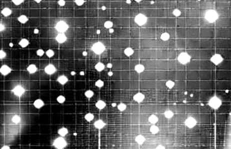 The Senate's Nuclear Option Echoes in DeFi: Why Breaking the Filibuster Could Shatter Blockchain's Last Safe Harbor The Senate's Nuclear Option Echoes in DeFi: Why Breaking the Filibuster Could Shatter Blockchain's Last Safe Harbor