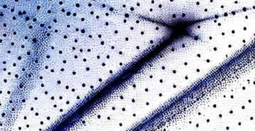The Strait's Silent Oracle: Decoding the 0.7% Probability Mismatch